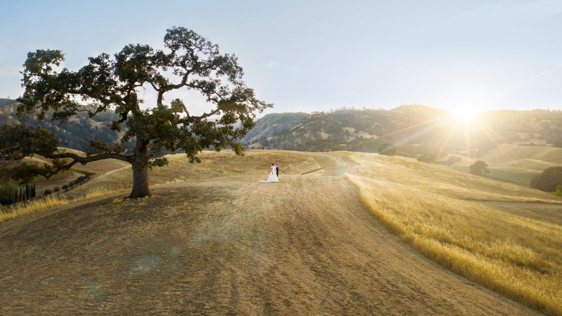 Gorgeous Vineyard Wedding at Taber Ranch Vineyard - Amid Films